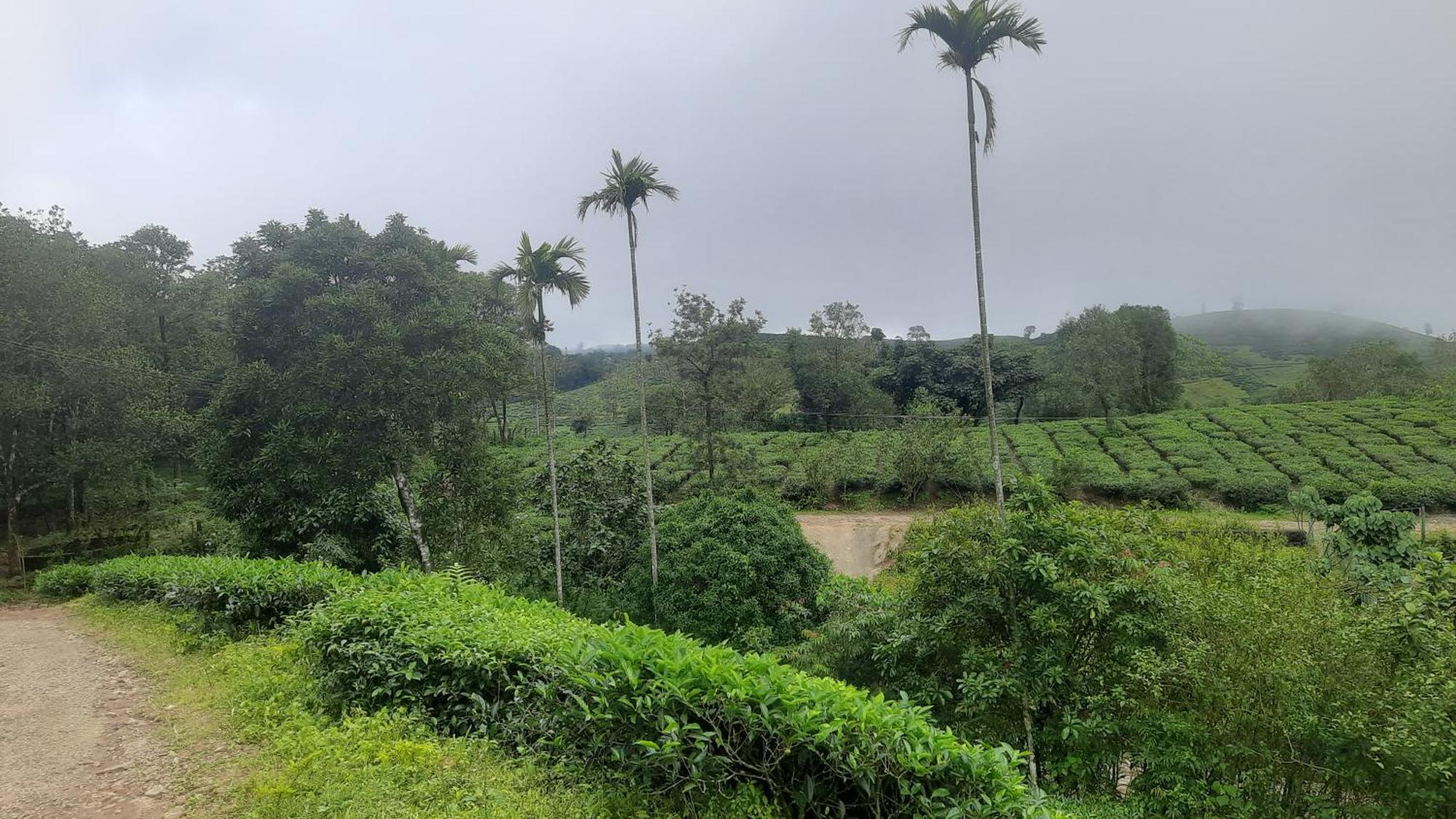 Paradise Meadows Vagamon Exterior foto